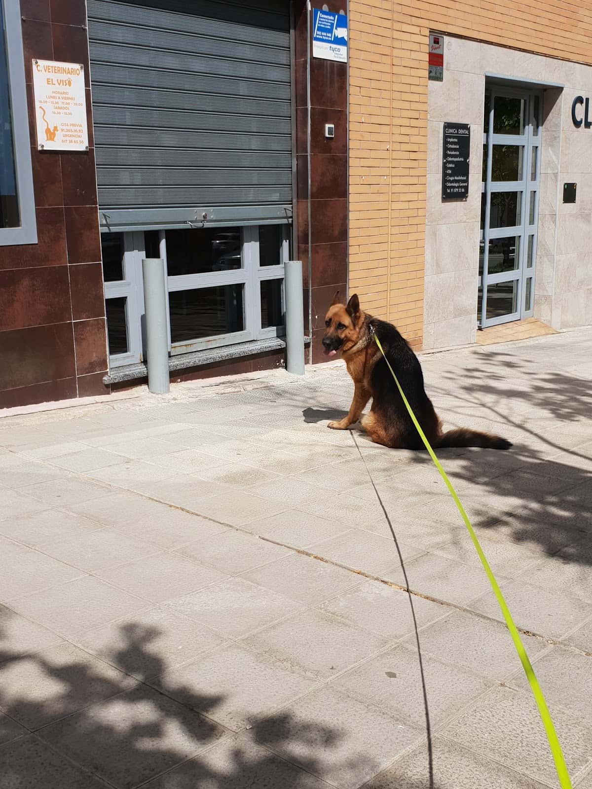 Clinica Veterinaria El Viso Villalbilla