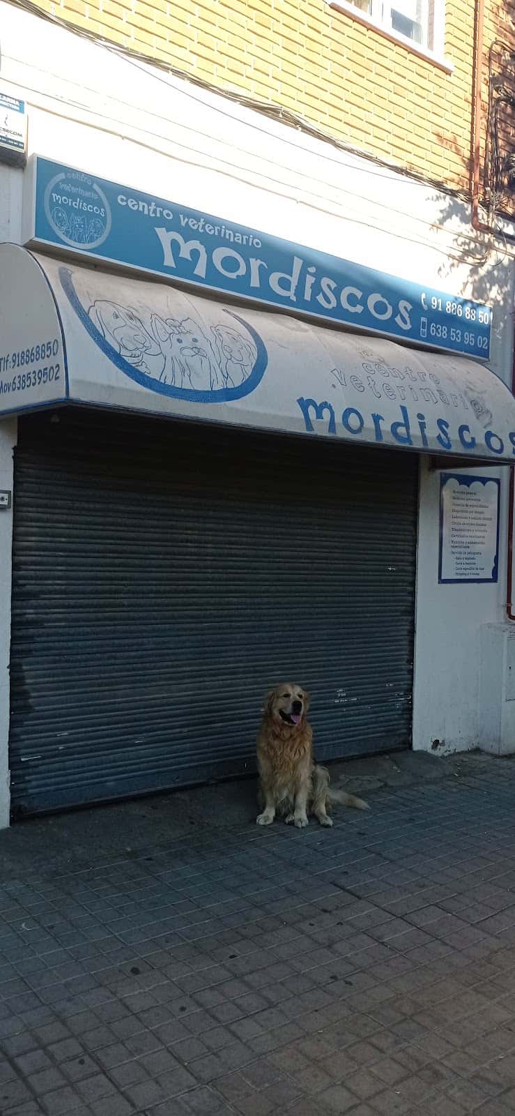 Centro Veterinario Mordiscos