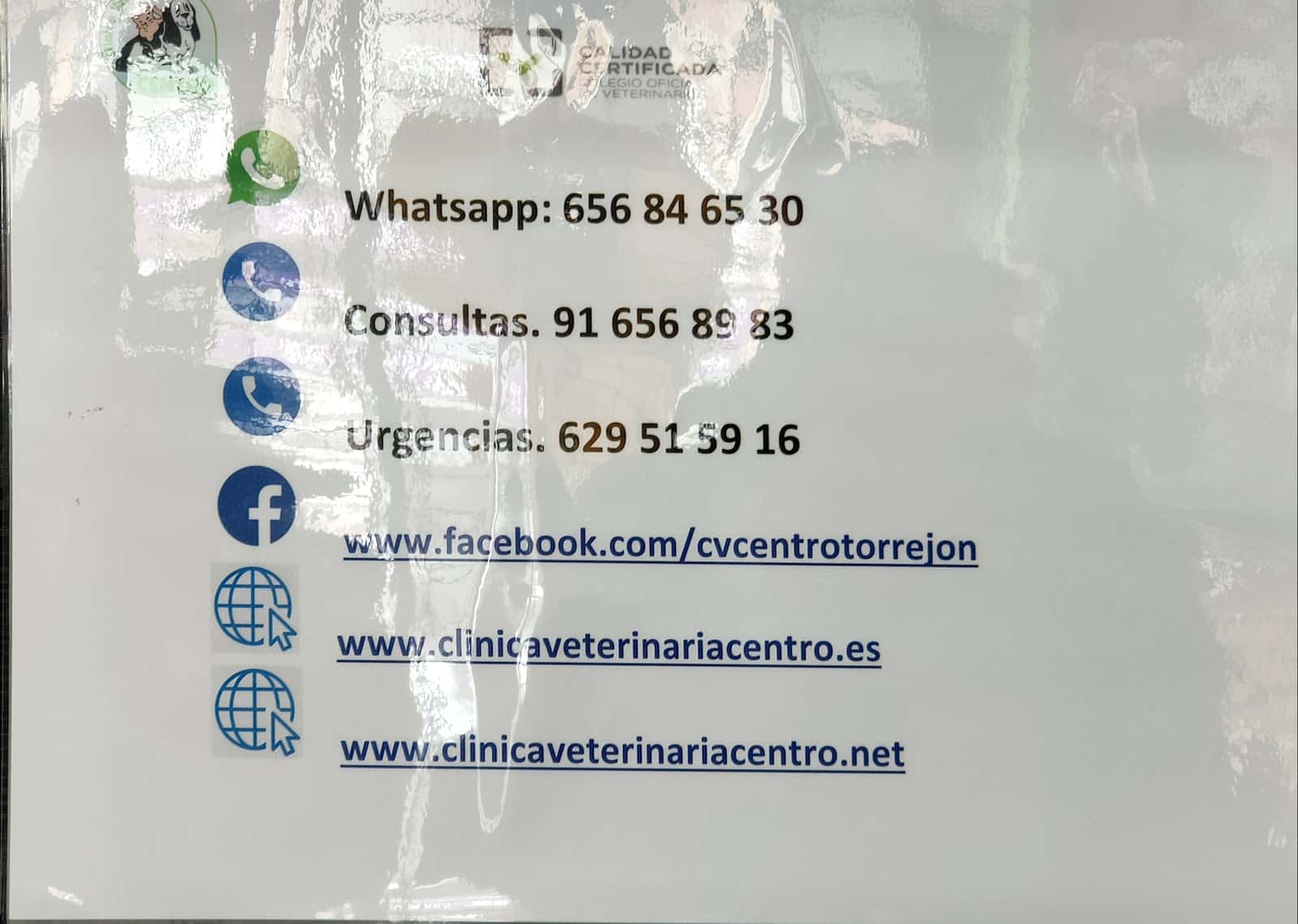Clinica Veterinaria Centro