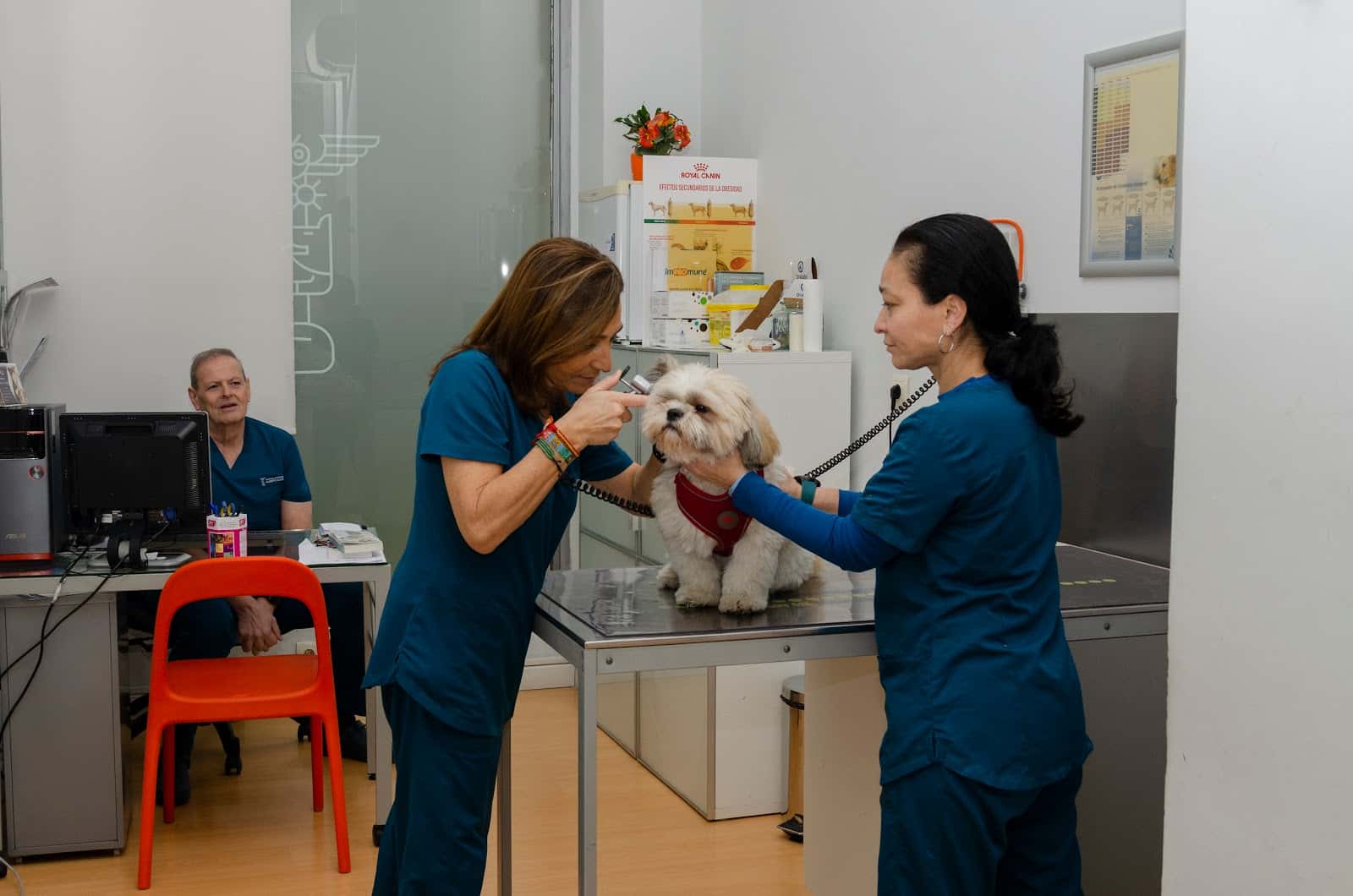 Hospital Veterinario Alberto Alcocer