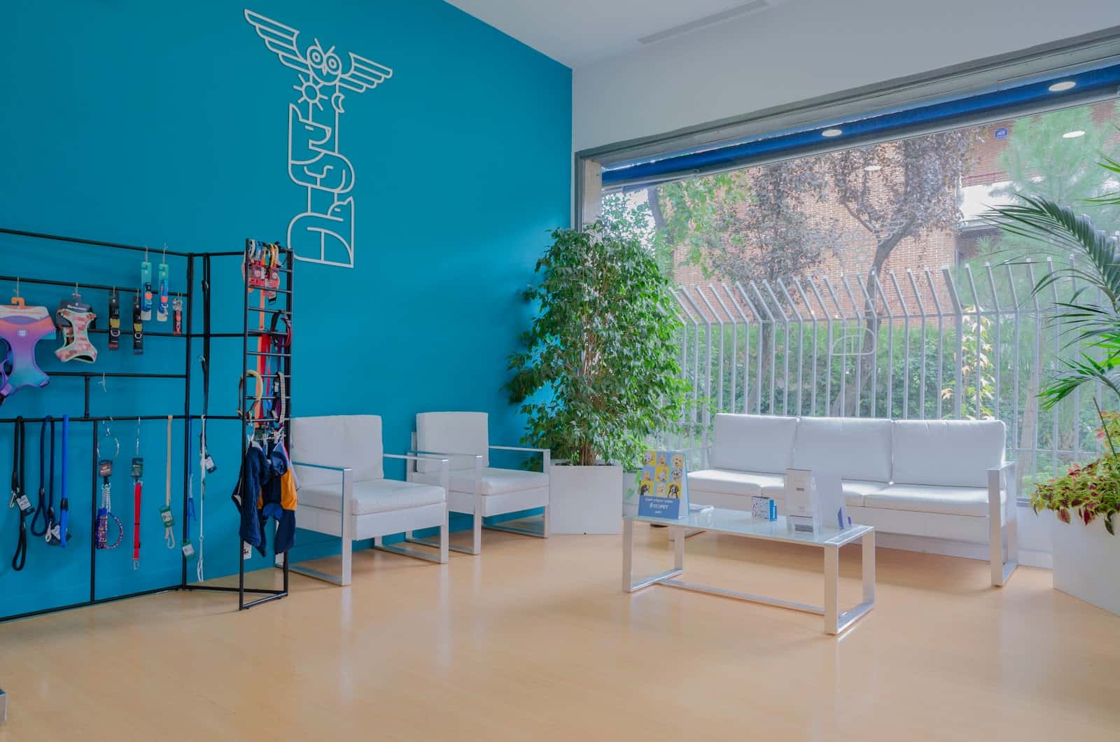 hospital veterinario alberto alcocer veterinario hospital cerca de madrid principalImage ADOPTA Sitios Pet Friendly