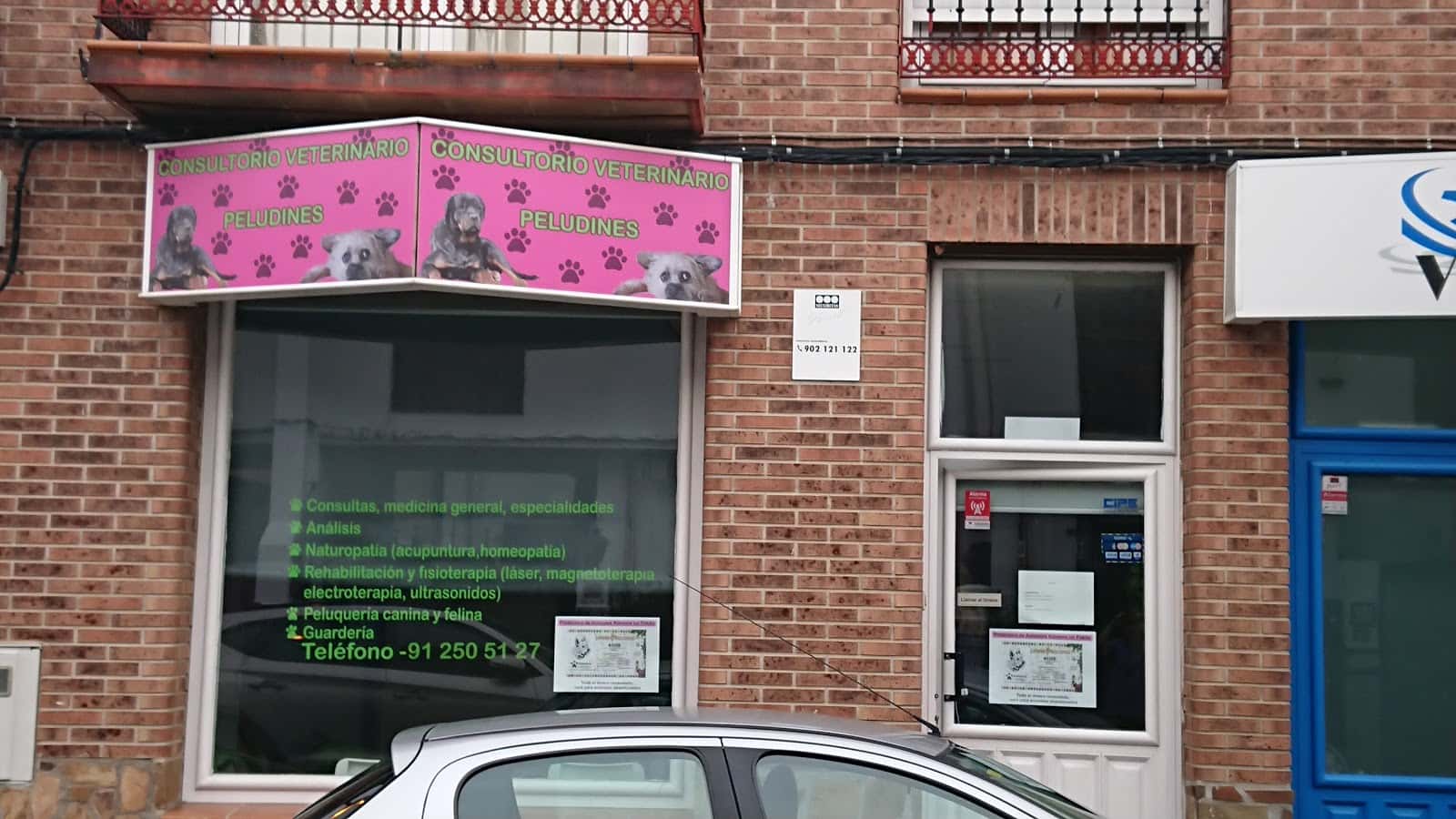clinica veterinaria peludines veterinario clinica en fuente el saz de jarama en madrid principalImage ADOPTA Sitios Pet Friendly