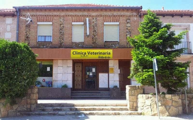 clinica veterinaria alalpardo veterinario clinica en alalpardo en madrid principalImage ADOPTA Sitios Pet Friendly