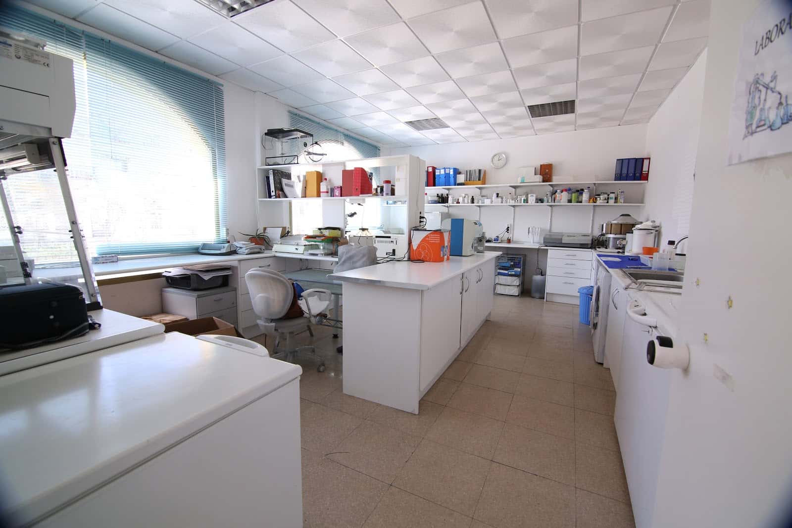 hospital veterinario altai veterinario hospital en torrelaguna en madrid principalImage ADOPTA Sitios Pet Friendly