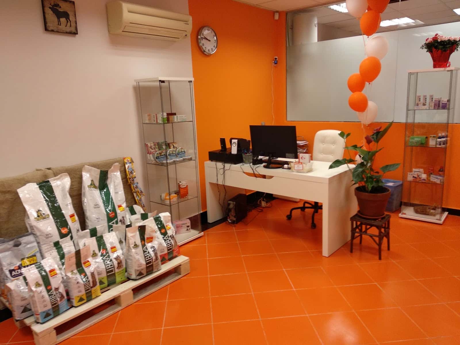 Clinica veterinaria jarama