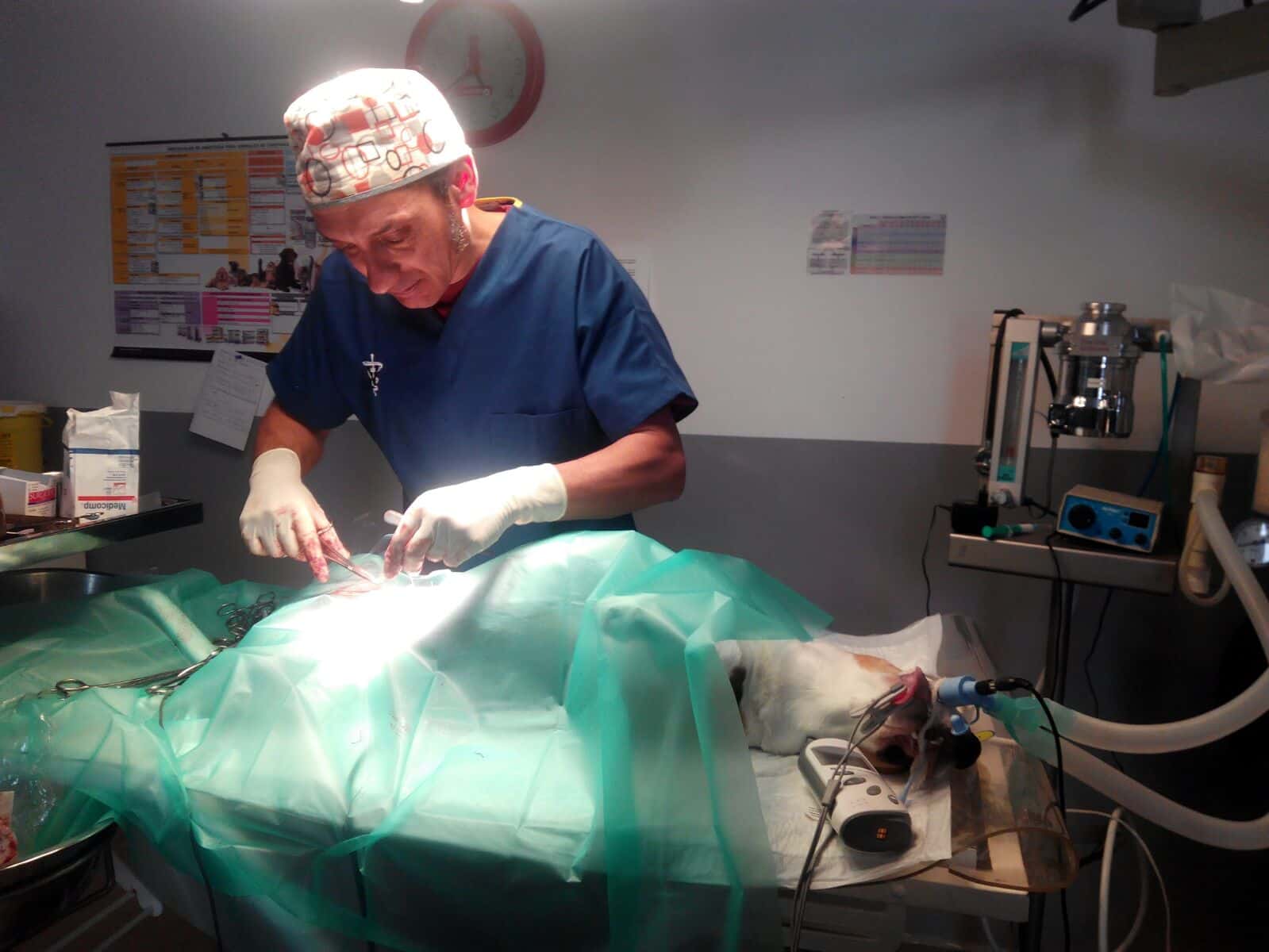 Clínica Veterinaria La Cabrera