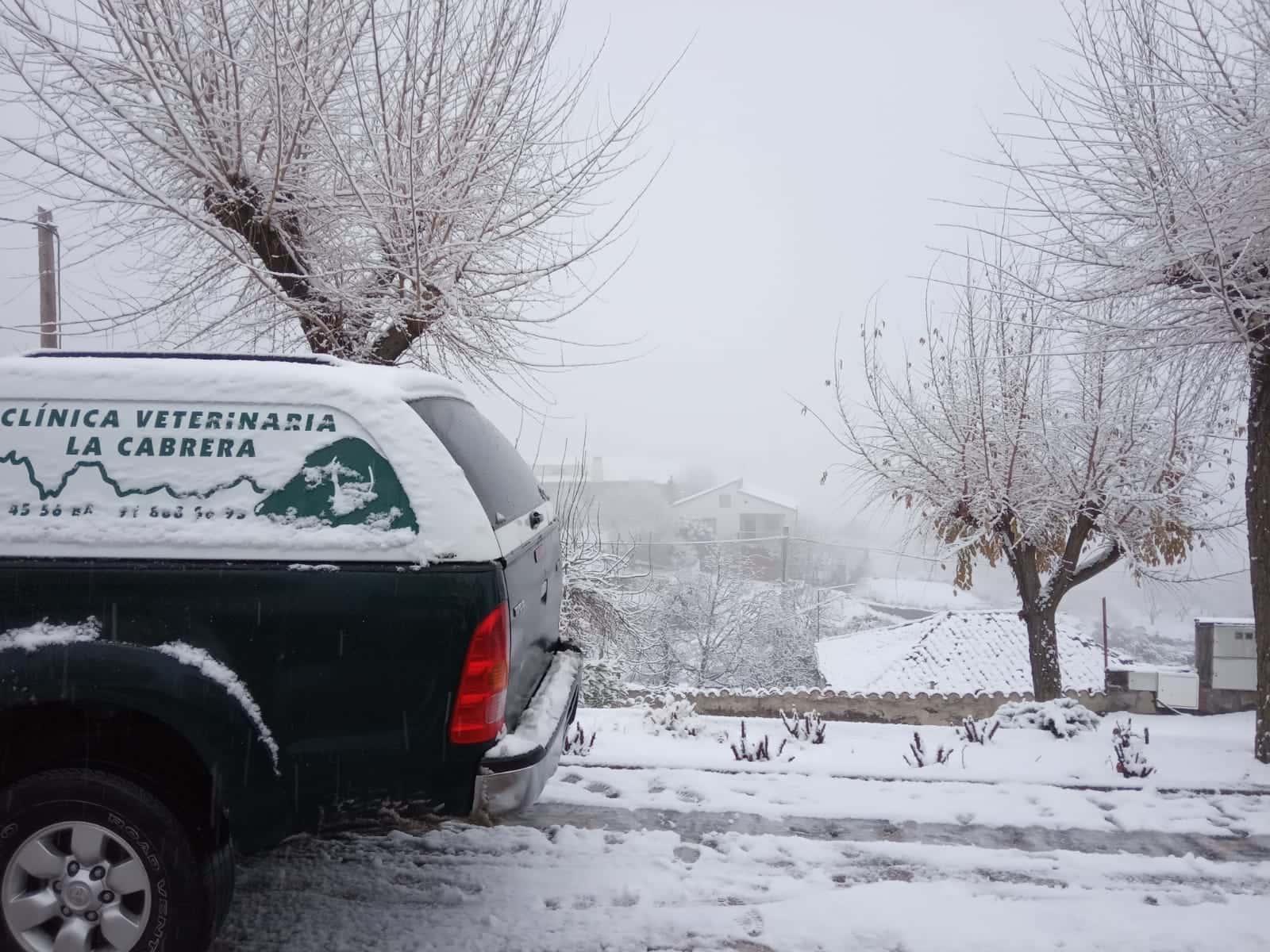 clinica veterinaria la cabrera veterinario clinica en la cabrera en madrid principalImage ADOPTA Sitios Pet Friendly