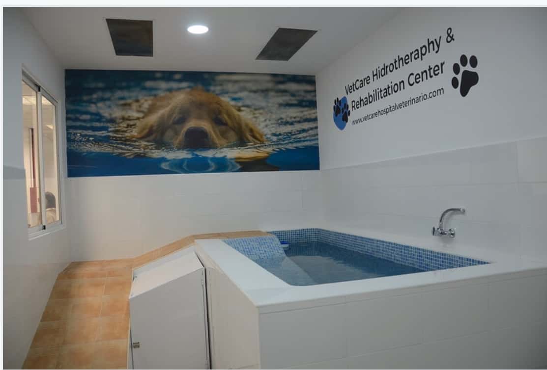 Vetcare Hospital Veterinario 24h