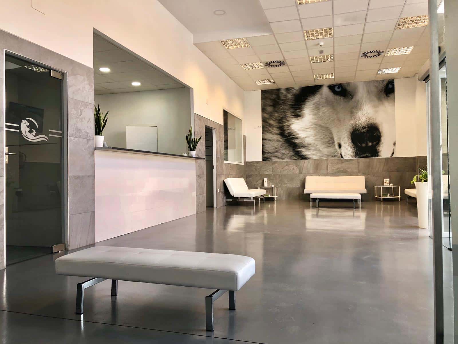 Vetcare Hospital Veterinario 24h