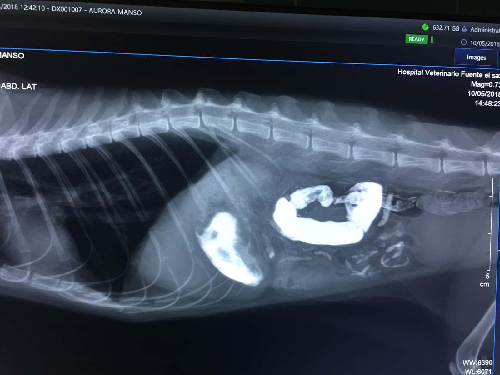 Vetcare Hospital Veterinario 24h