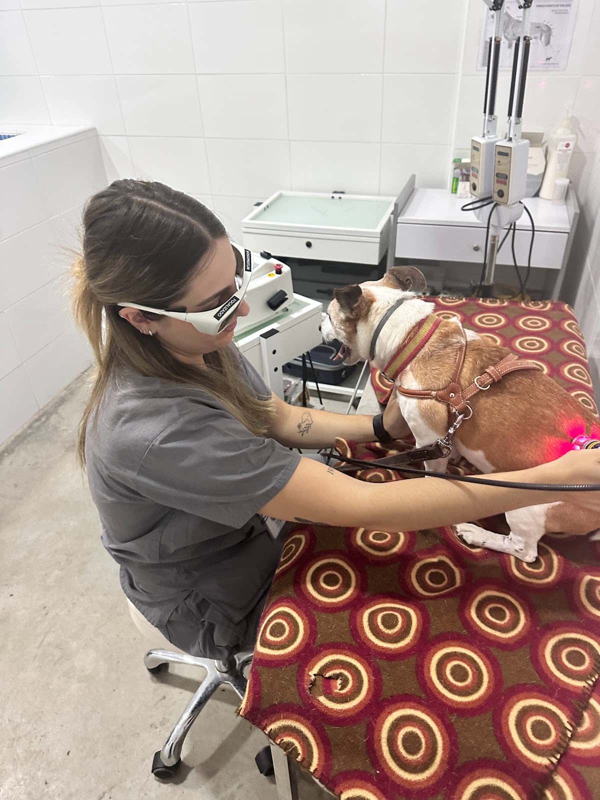Vetcare Hospital Veterinario 24h