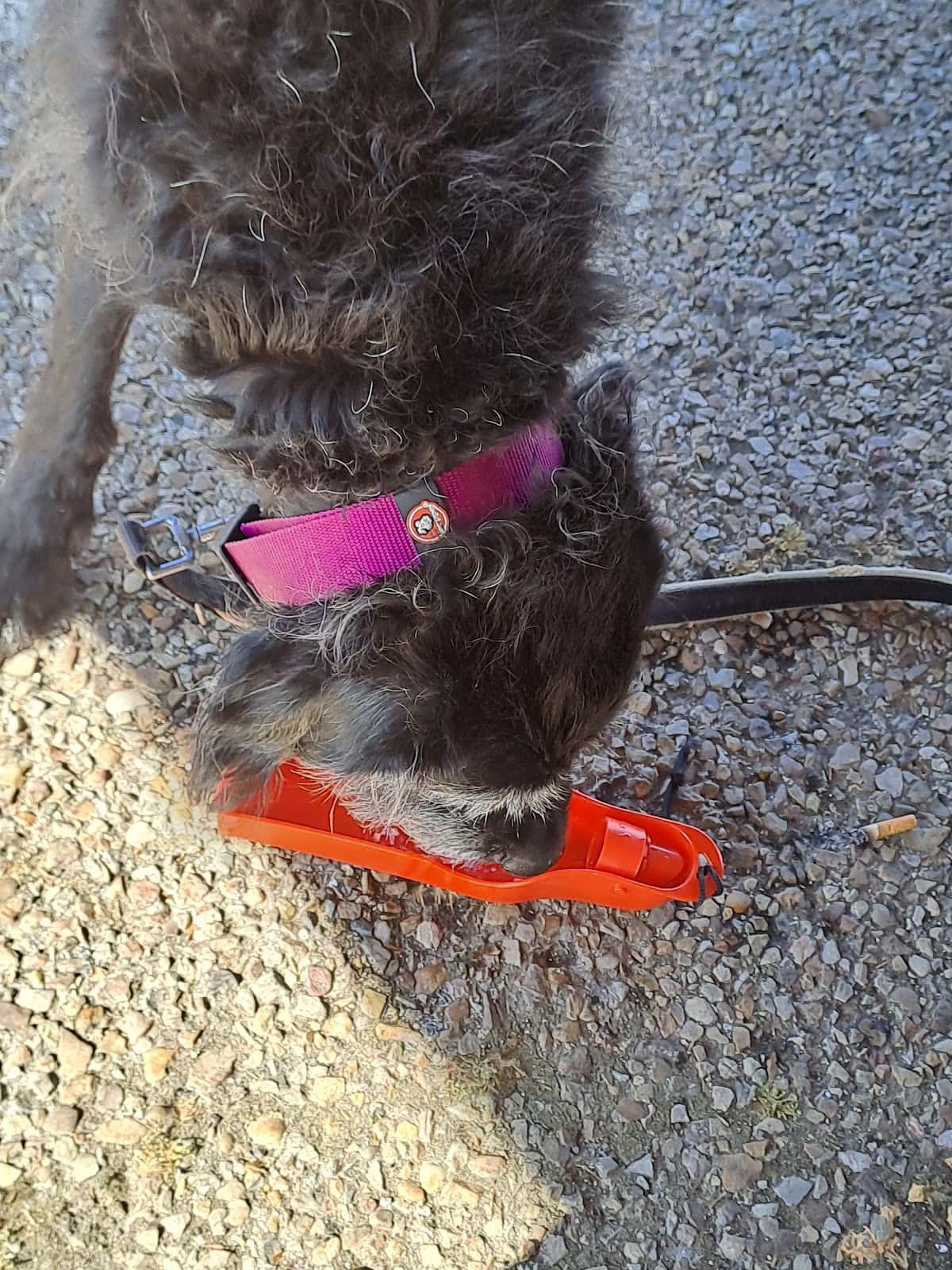Clínica veterinaria Marañón
