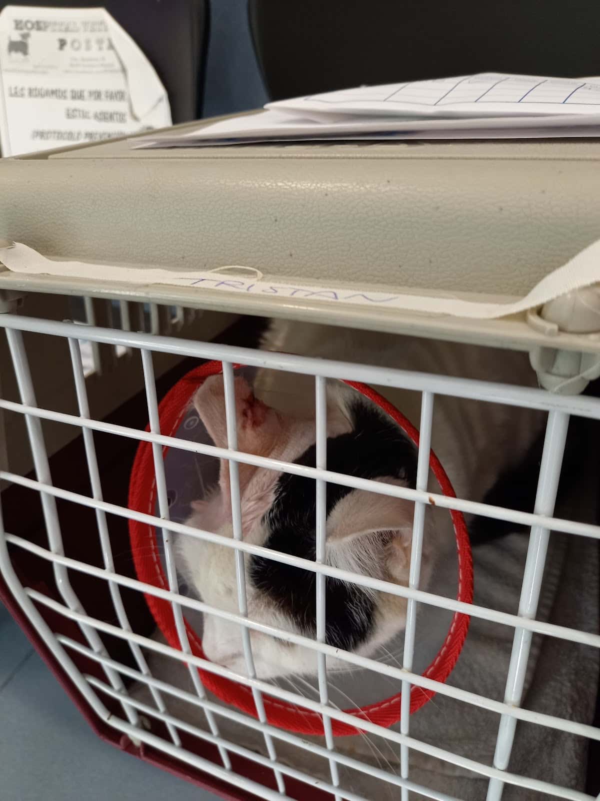 Clínica Veterinaria Postas
