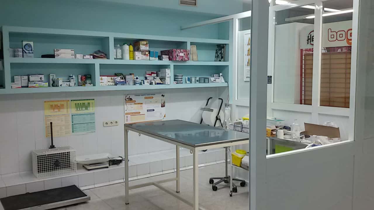clinica veterinaria mimasvet veterinario clinica en manzanares el real en madrid principalImage ADOPTA Sitios Pet Friendly