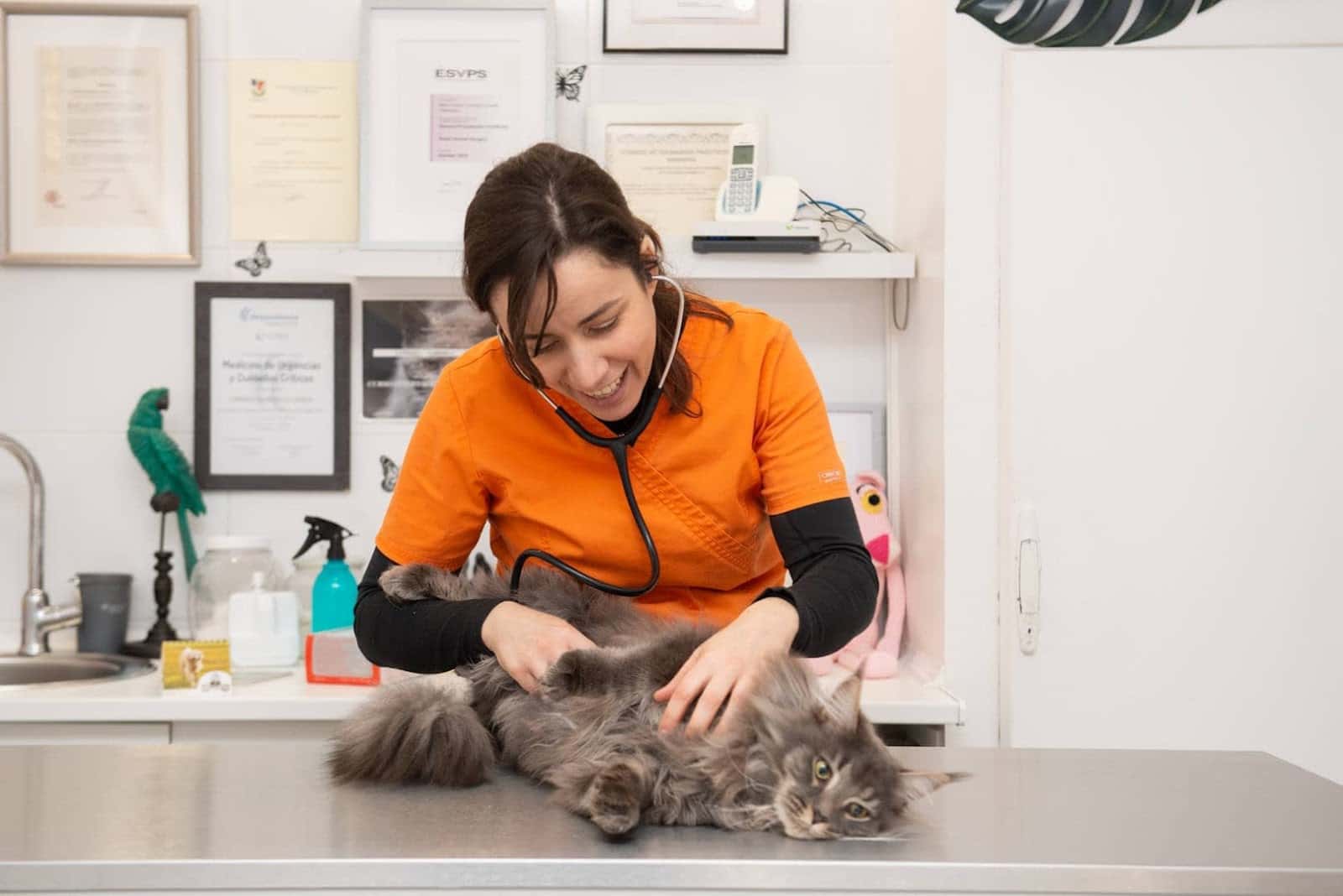 Clínica Veterinaria Petclub