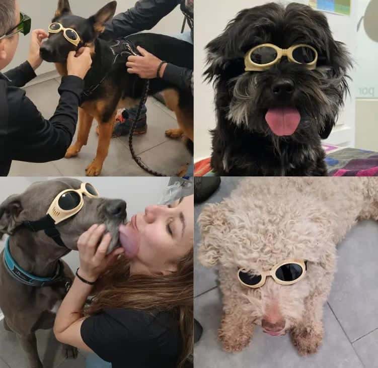 Clínica Veterinaria Petclub