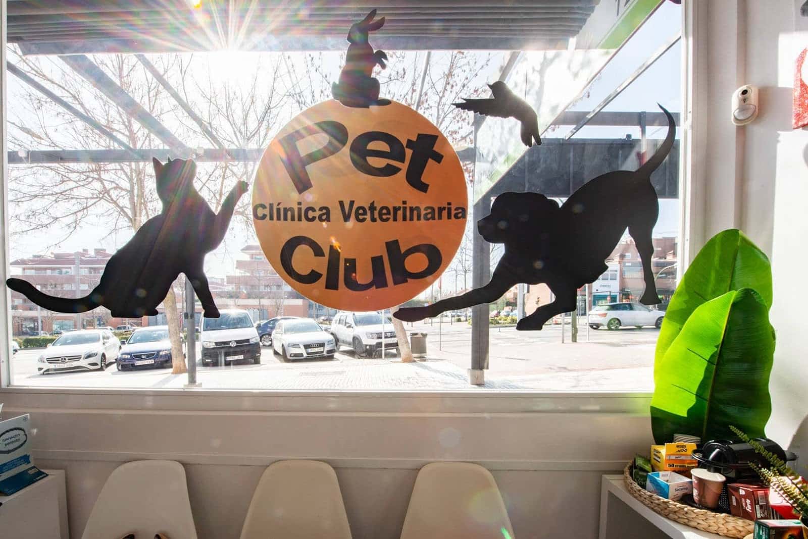 clinica veterinaria petclub veterinario clinica en boadilla del monte en madrid principalImage ADOPTA Sitios Pet Friendly
