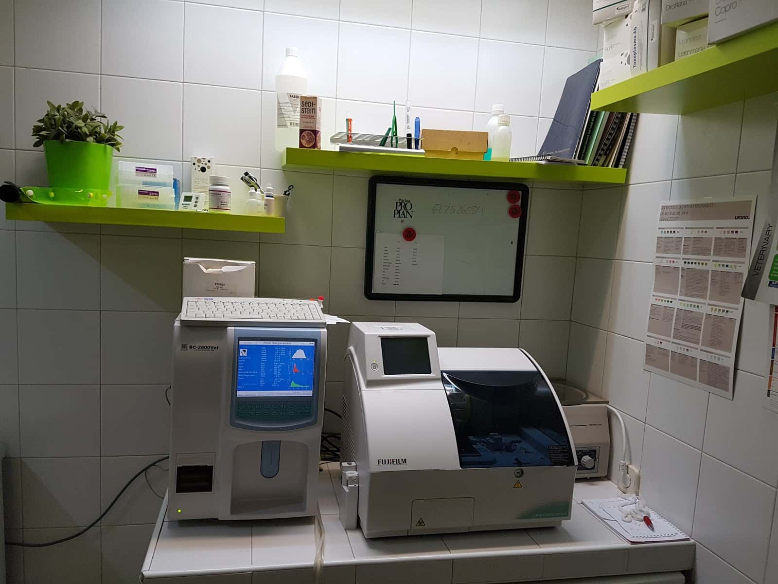 CENTRO VETERINARIO PRADO DE BOADILLA
