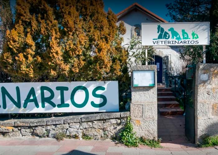 jara veterinarios veterinario centro en moralzarzal en madrid principalImage ADOPTA Sitios Pet Friendly