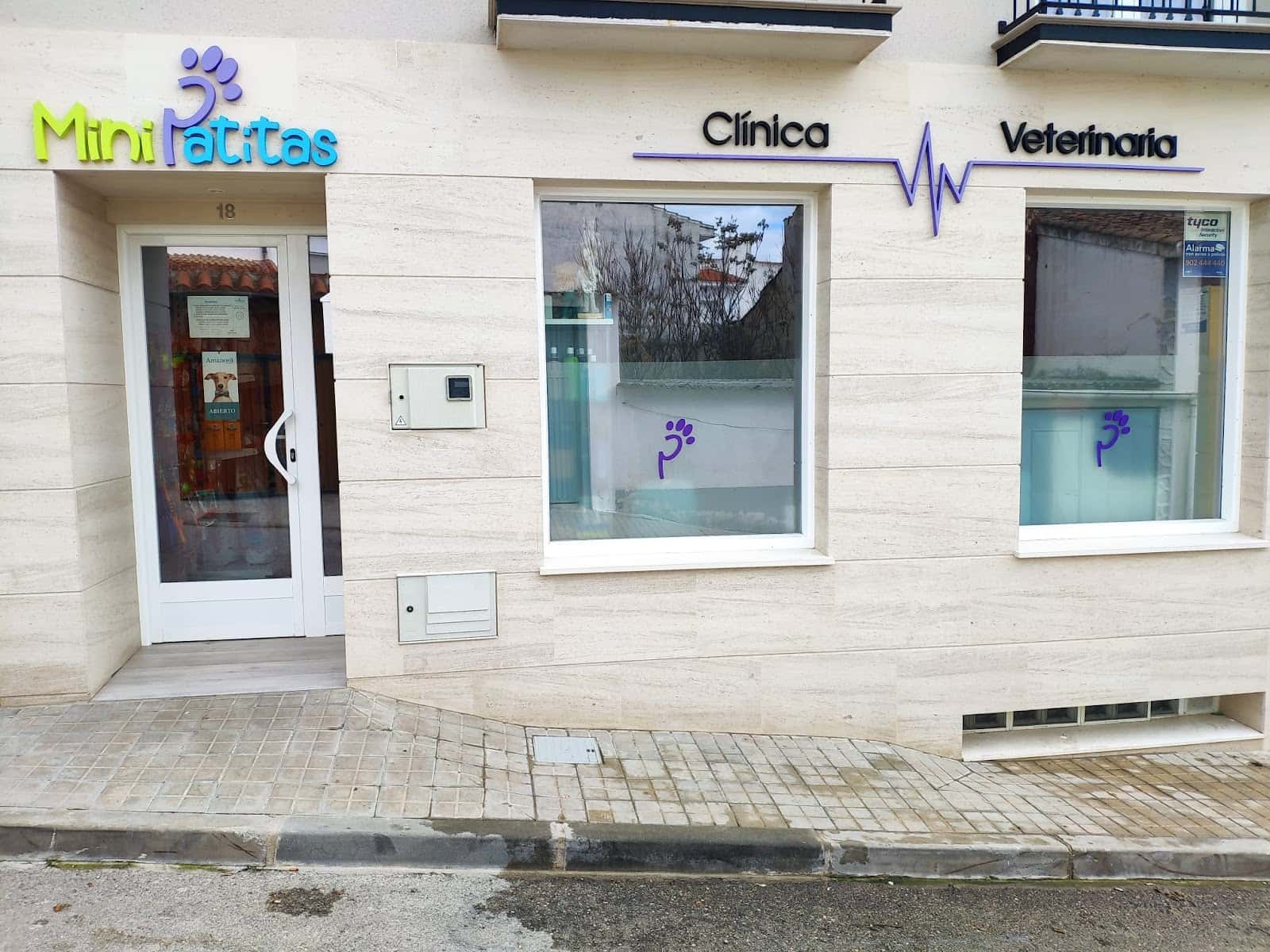 Clinica Veterinaria Minipatitas