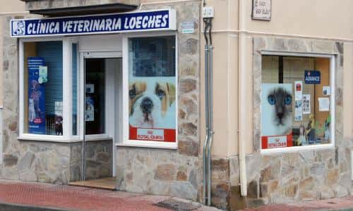 clinica veterinaria loeches veterinario clinica en loeches en madrid principalImage ADOPTA Sitios Pet Friendly