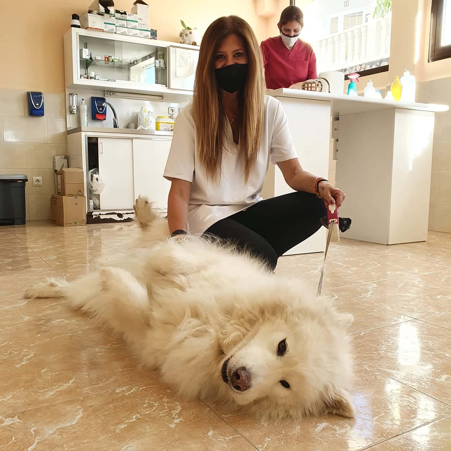 clinica veterinaria el quinon veterinario clinica en sesena en toledo principalImage ADOPTA Sitios Pet Friendly