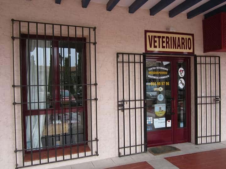 centro veterinario mosqueperros veterinario centro en chinchon en madrid principalImage ADOPTA Sitios Pet Friendly