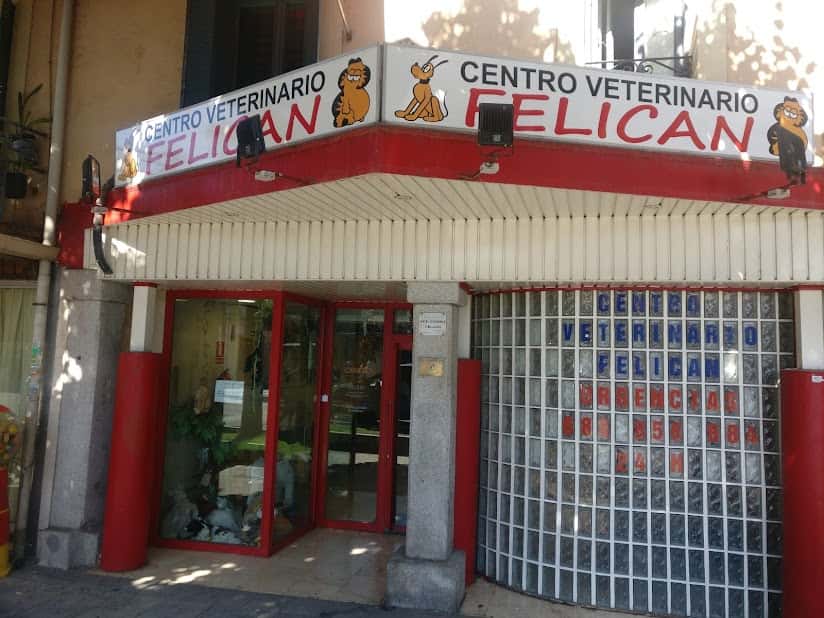 centro veterinario felican villalba veterinario centro en collado villalba en madrid principalImage ADOPTA Sitios Pet Friendly