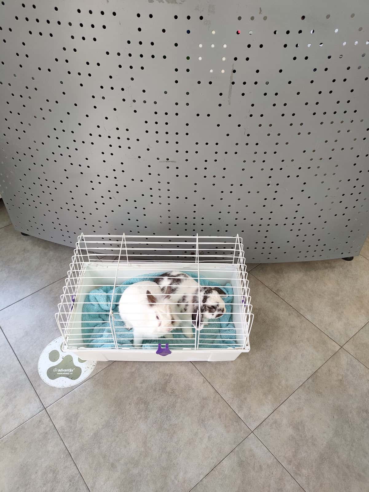 Veterinaria Petiberia