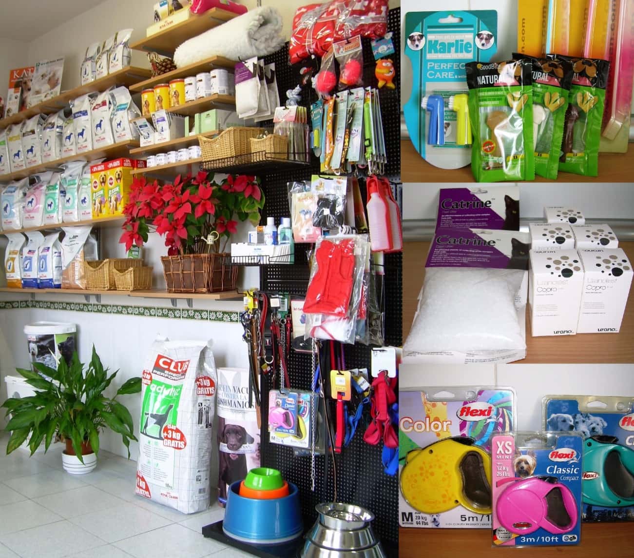 Centro Veterinario Grandes Valles