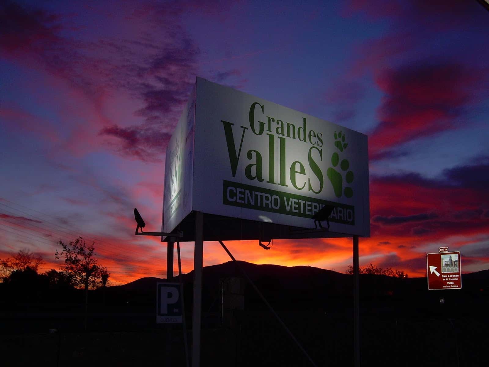 Centro Veterinario Grandes Valles