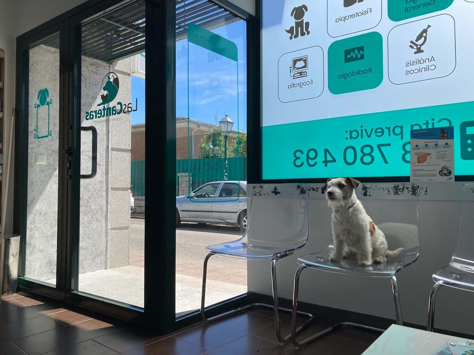 Centro Veterinario Las Canteras