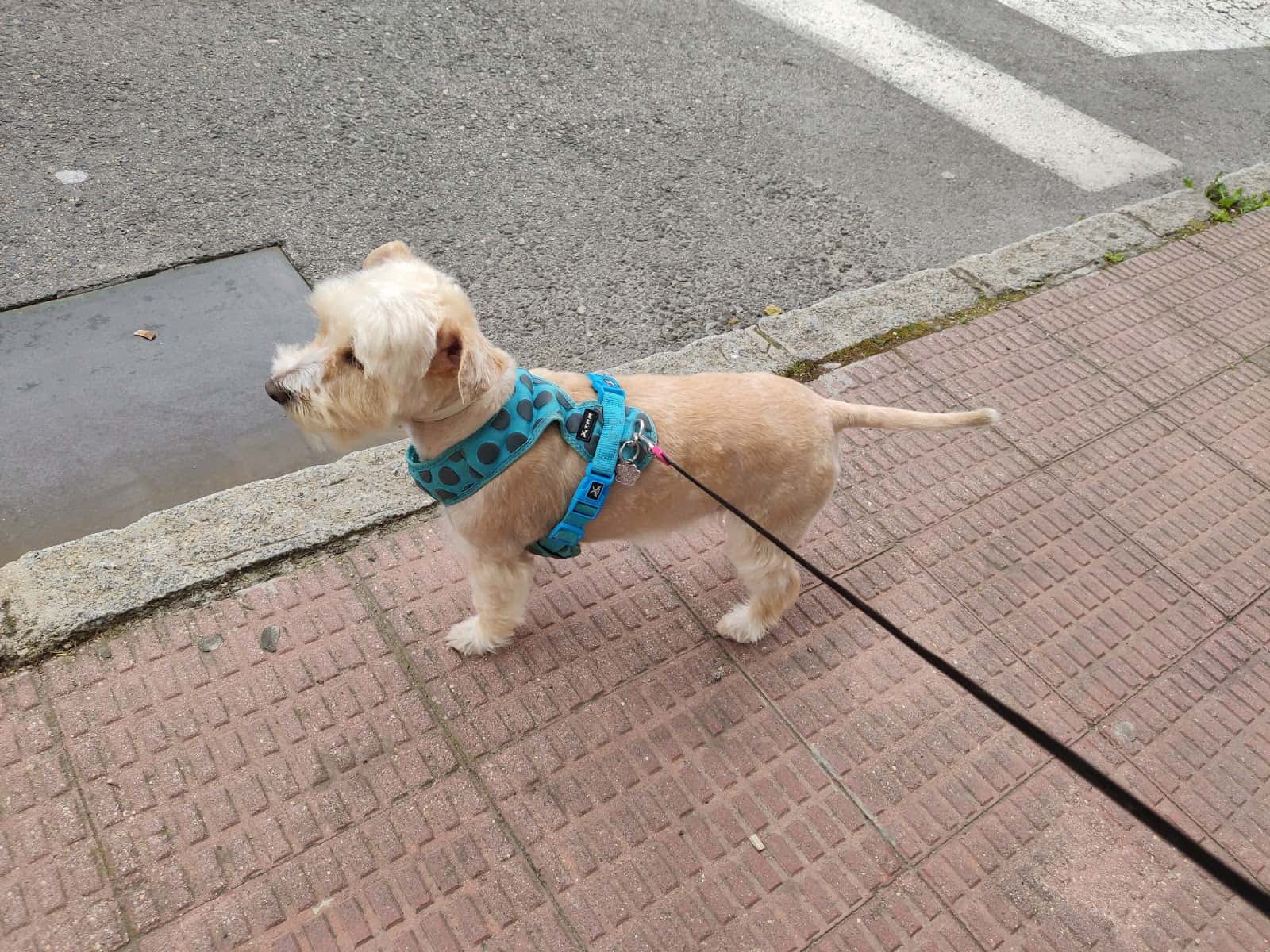 Centro Veterinario Eurocan Guadarrama