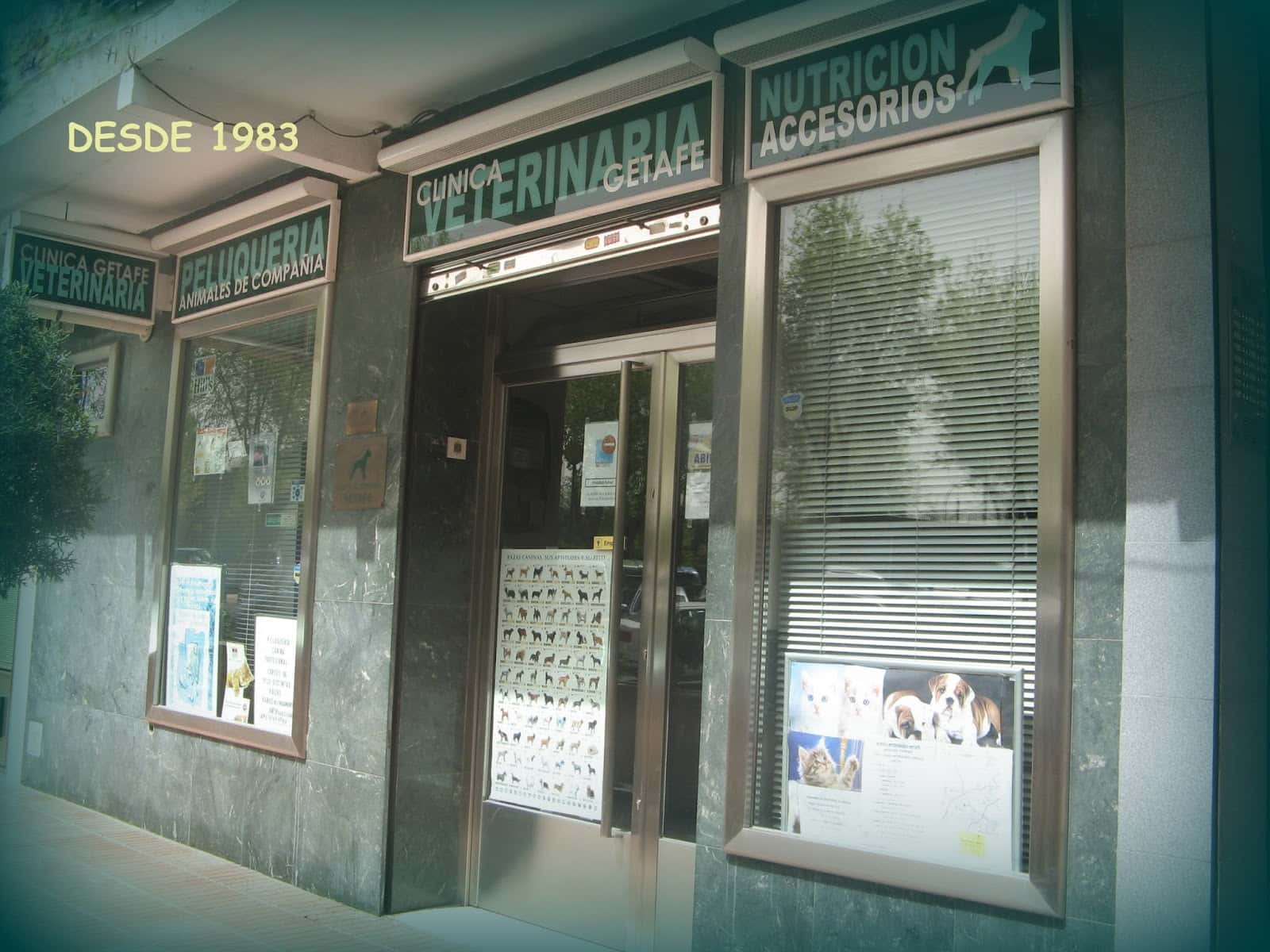 clinica veterinaria getafe veterinario clinica en getafe en madrid principalImage ADOPTA Sitios Pet Friendly
