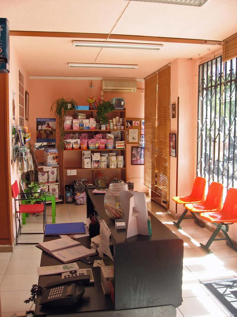 Centro Veterinario Zaragoza