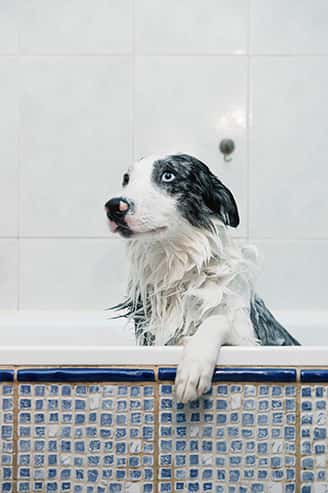 Centro Veterinario Zaragoza