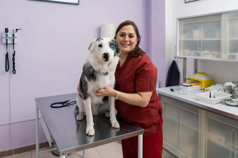 Centro Veterinario Zaragoza