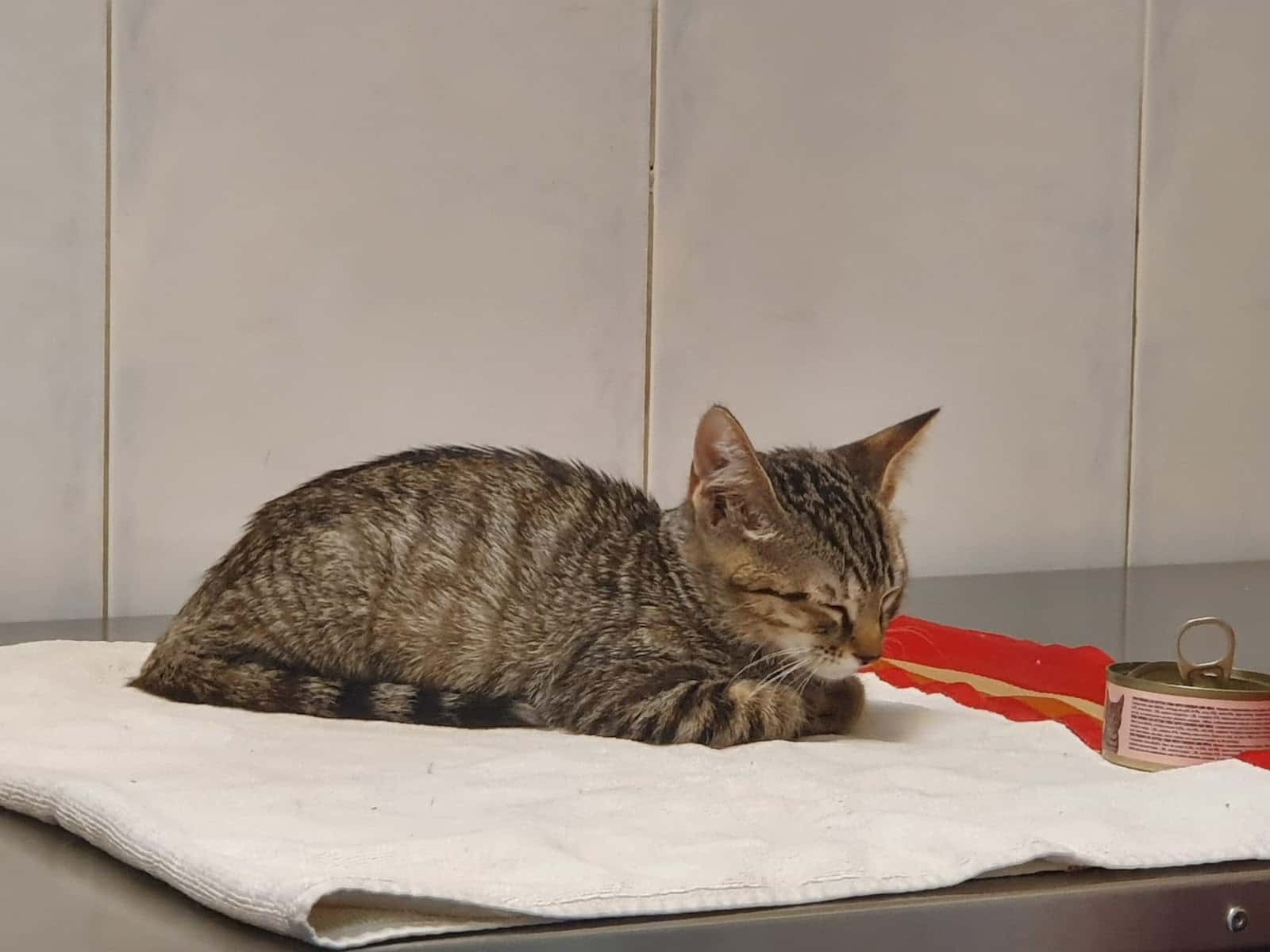 Clínica Veterinaria Don Félix