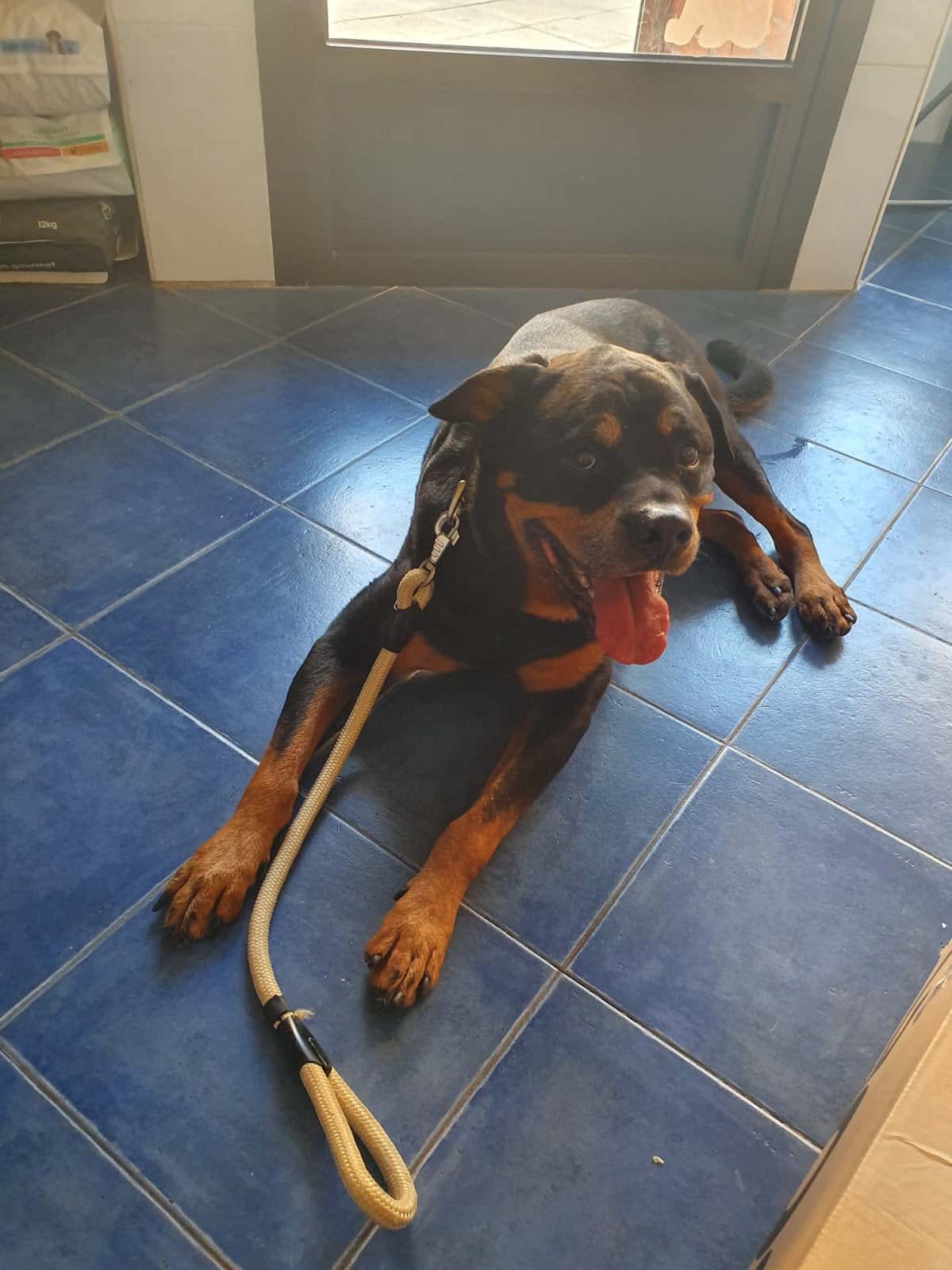 Clínica Veterinaria Don Félix