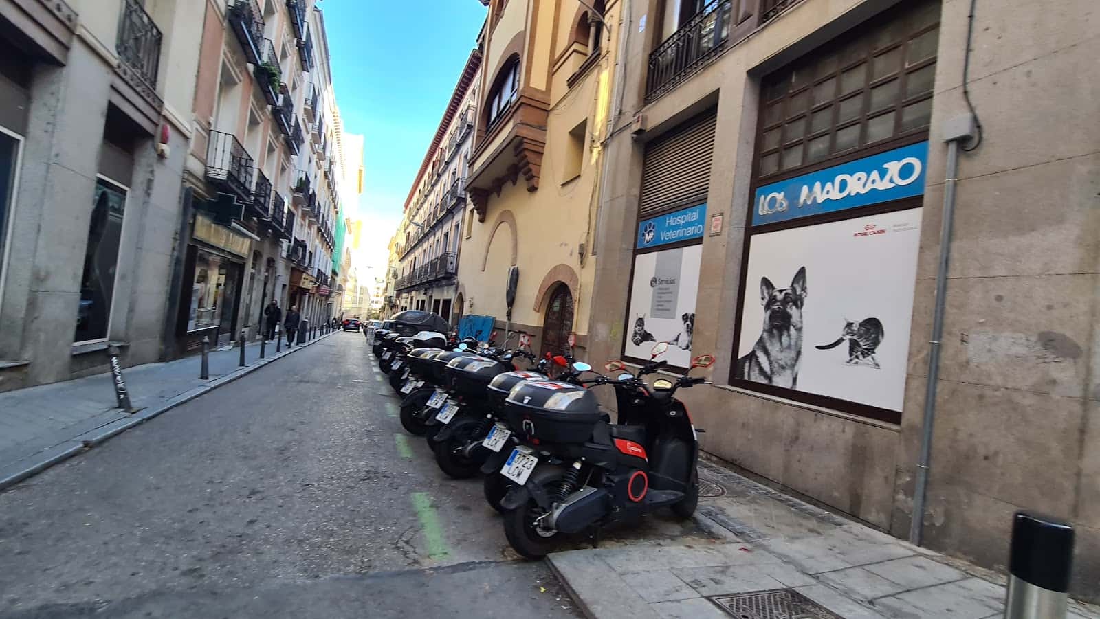 Hospital Veterinario Los Madrazo