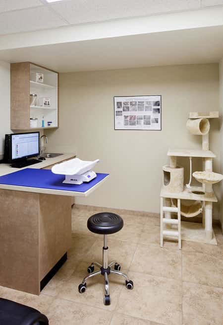 Hospital Veterinario Los Madrazo