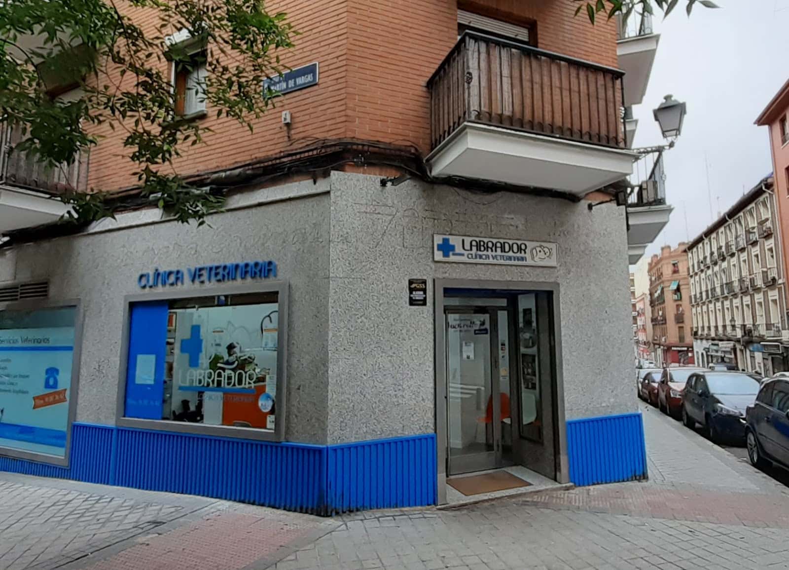 clinica veterinaria labrador veterinario clinica cerca de madrid principalImage ADOPTA Sitios Pet Friendly