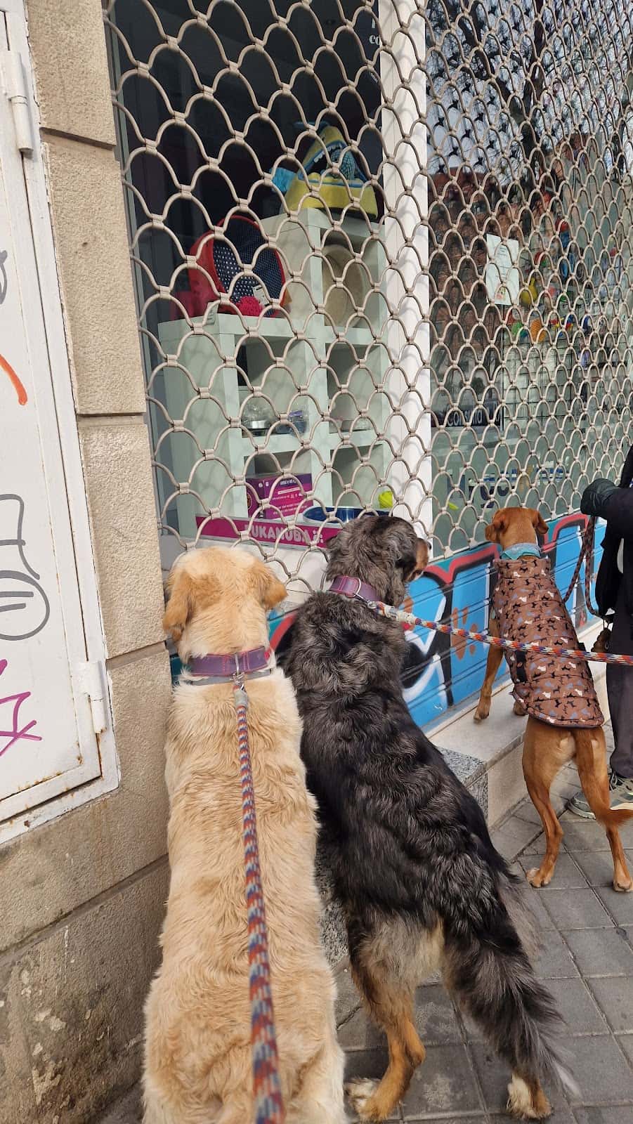 Veterinario Paseo Imperial