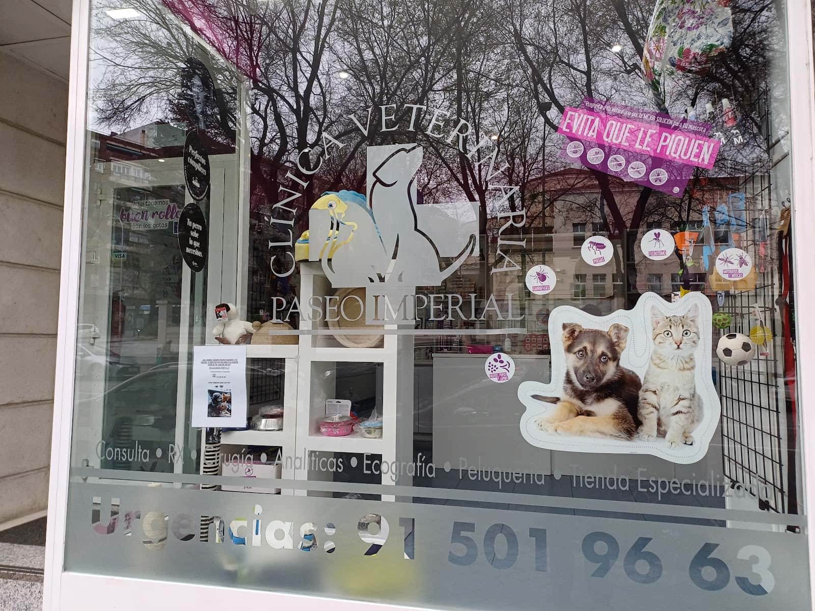 Veterinario Paseo Imperial