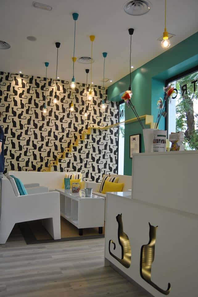 Hospital Gattos