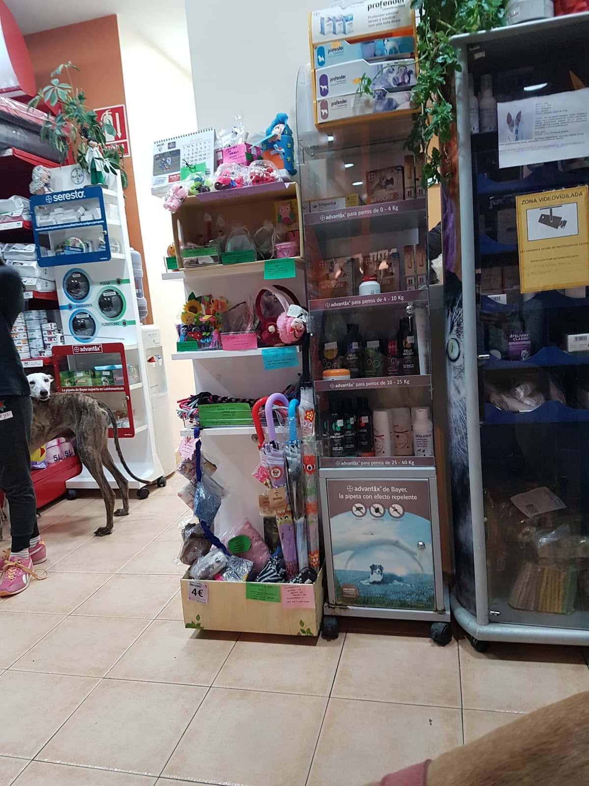 Clinic Veterinaria Legavet
