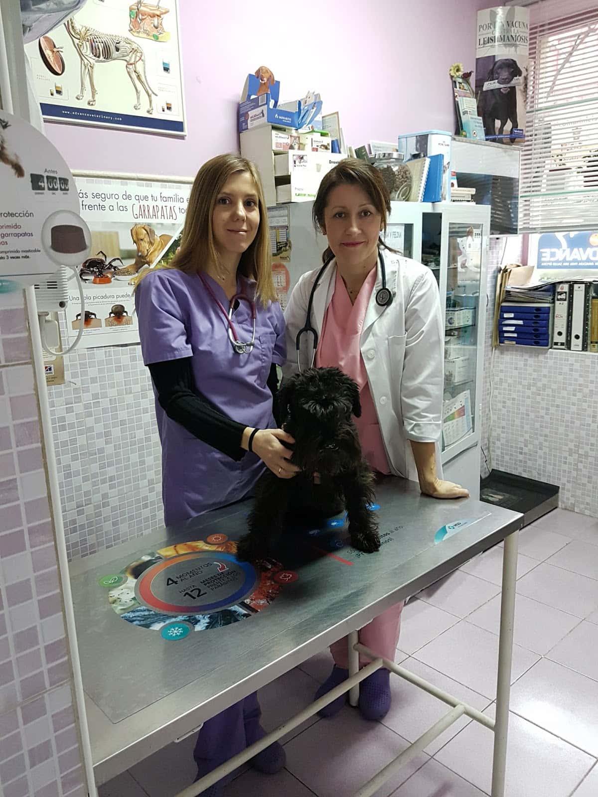 Clínica Veterinaria Piramides