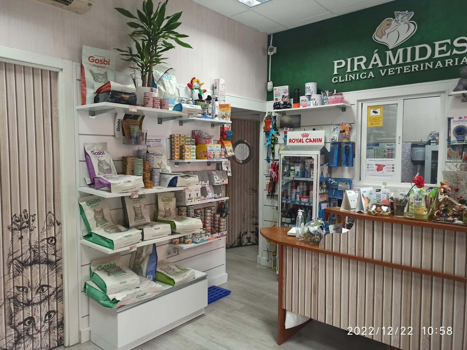 clinica veterinaria piramides veterinario clinica cerca de madrid principalImage ADOPTA Sitios Pet Friendly