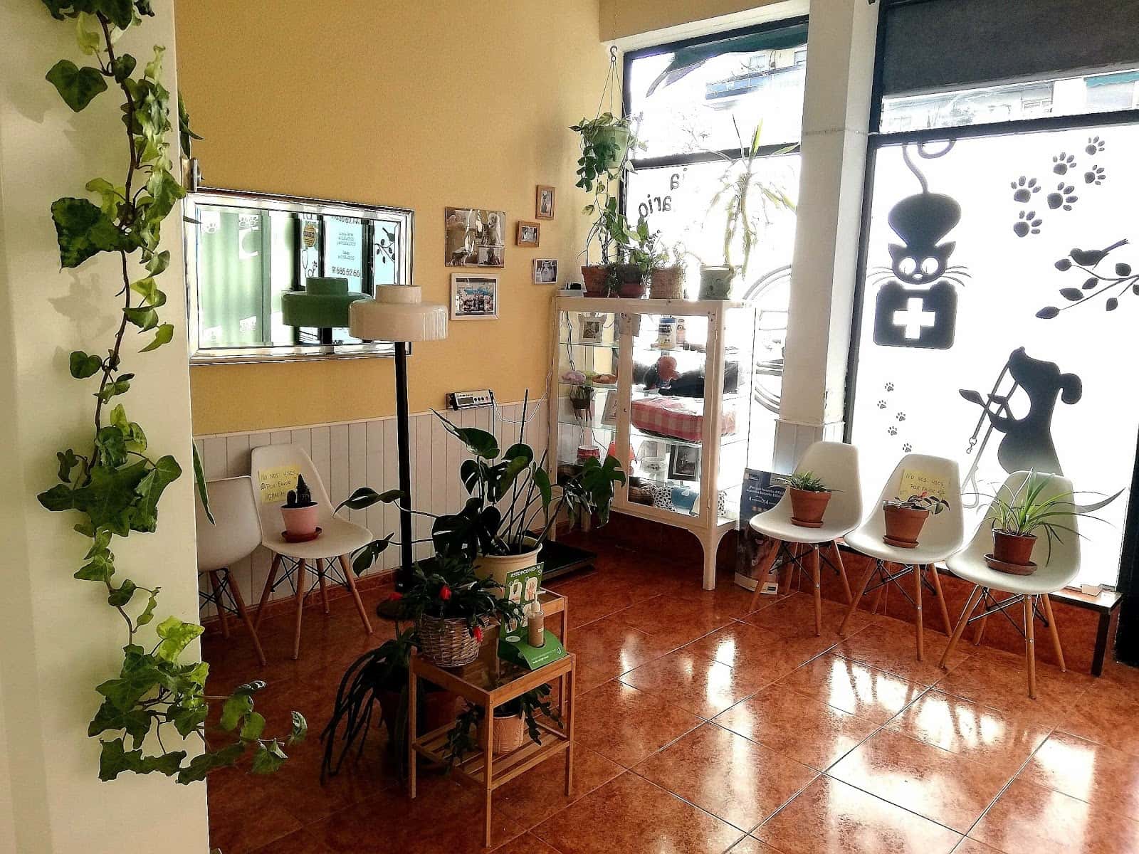 c veterinario acuario veterinario centro en leganes en madrid principalImage ADOPTA Sitios Pet Friendly