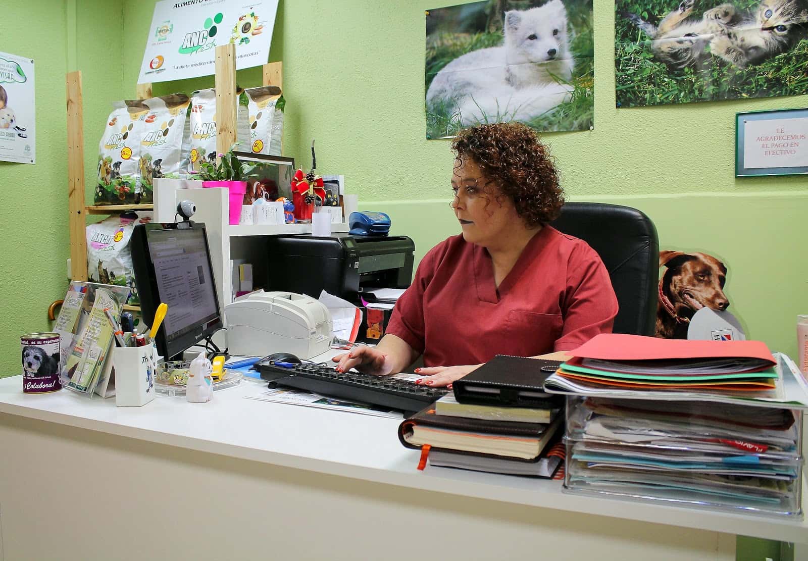 Ancora Veterinarios